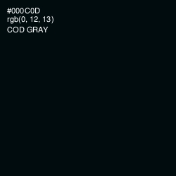#000C0D - Cod Gray Color Image